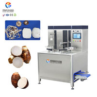 FXP-HT-II Automatische Fruit- en Groente-Aannemer en -ontpitter met pomp, SUS 304 roestvrij staal
