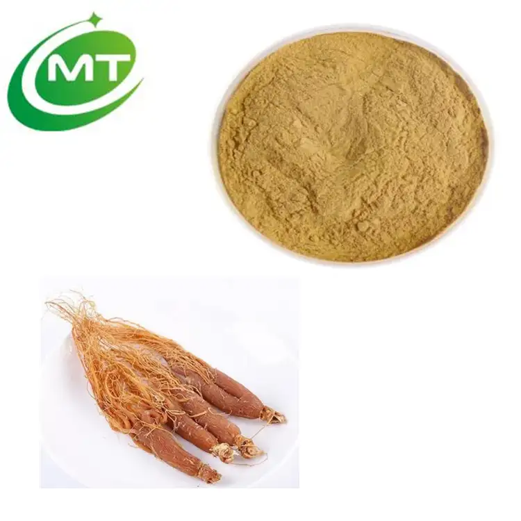 Organic Manufacturer Supply Ginseng American Extract Ginseng Extract