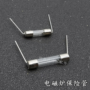 ฟิวส์แบบตลับ 15A 250V พร้อมสายไฟสำหรับอะไหล่เตาแม่เหล็กไฟฟ้า - Product Image 2