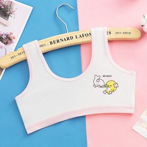 Modèles explosifs pas d'anneau en acier été dessin animé soutien-gorge imprimé pour adolescent soutiens-gorge de formation pour jeunes filles filles soutiens-gorge puberté - Product Image 2