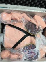 F52 Hochwertige PVC-Anatomische <span class=keywords><strong>Vagina</strong></span>-Modelle für Medizinische Wissenschaft Geburtshilfe-Training Menschliches Modell für Schulen und Krankenhäuser - Product Image 5