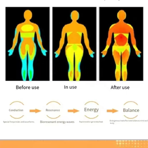 Mesin Terapi Quantum Terahertz Elektrik Bertenaga Baterai USB Alat Pijat Kaki Gua Sha untuk Penggunaan Rumah Tangga & Hotel - Product Image 6