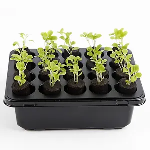 Soilless hydroponic dikim substratı için uygun kapaklı 20 delikli üç katmanlı fide kabı