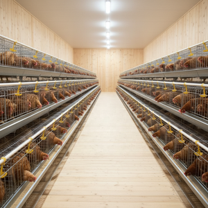 Jaula para gallinas ponedoras, jaula para aves de corral, criadero de gallinas, jaula para aves de corral - Product Image 1