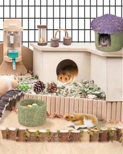 Tazón para masticar hámster y escondite Timothy Hay golosinas comestibles para hámster pequeño Ratones Rata Mascotas pequeñas Seta de hámster - Product Image 5