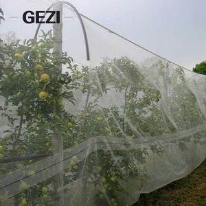 <span class=keywords><strong>Malla</strong></span> Transparente <span class=keywords><strong>Antigranizo</strong></span> con Protección UV de 55gsm y 80gsm para Huertos de Frutas en Yemen - Product Image 4