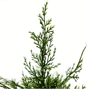 Nouvel Arbre <span class=keywords><strong>de</strong></span> <span class=keywords><strong>Noël</strong></span> <span class=keywords><strong>Artificiel</strong></span> Haut <span class=keywords><strong>de</strong></span> Gamme Écologique Personnalisé avec Fleurs Naturelles Préservées 5m Grand Modèle - Product Image 4