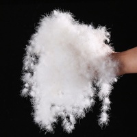 Doudoune 5% en duvet d'oie blanc, 95% en duvet d'oie, sans dor, sac de couchage, matériel de remplissage