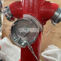 Hydrant d'incendie de type français, extérieur, sur pied, en fonte ductile DN100 DN65, équipement incendie avec raccord Guillemin