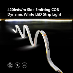 ไฟ LED แบบยืดหยุ่นส่องทางด้านข้าง420 LED/m DC24V ความกว้าง10มม. 180มุมลำแสง ° แถบ LED ดิจิตอล IP20พิกัด IP - Product Image 4