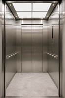 Ascenseur de villa sans engrenages MRL 320 kg pour résidence privée Lgeer Elevator