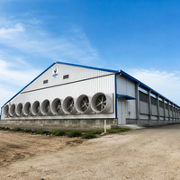 Estructura de Acero Galvanizado en Caliente, Resistente, para Gallinero, Nave Avícola Prefabricada, Edificio Automatizado para Granjas de Pollos de Engorde y Ponedoras