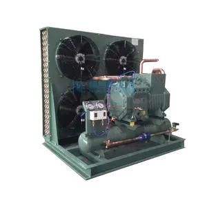 RuiXue-unidad de refrigeración refrigerada por aire, unidad de refrigeración para habitación fría, compresor de refrigeración, unidad de condensación