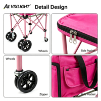 Panier à balles de pickleball pliable et portable, chariot à balles de tennis grande capacité, pour entraînement d'entraîneur sur le terrain