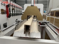Ligne de production d'extrusion de profilés en bois-plastique composite PP PE WPC à double vis pour terrasse extérieure