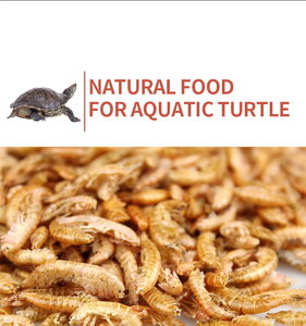 Comida para mascotas <span class=keywords><strong>Gammarus</strong></span> secado al sol para reptiles comida Comida para peces - Product Image 2