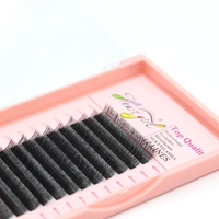 Nouveau produit Yy Extensions de cils en forme de W 0,07 mm Soie PBT coréenne Noir naturel Fait à la main Longue courbure naturelle Faux cils