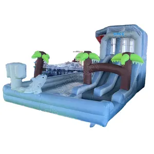 Casa de rebote inflable al aire libre Dolphin Oxford con tobogán Tobogán de agua para patio trasero con manguera de agua