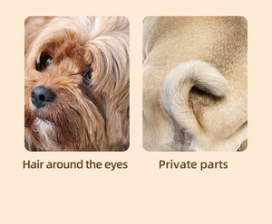 ओम/गंध कम शोर पालतू पालतू पंजे क्लिपर ट्रिमर यूएसबी रीचार्ल्ड पालतू पालतू कुत्ते और बिल्लियों के लिए ट्रिमर - Product Image 4