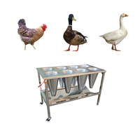 Cône de saignée de poulet MD Brand, garantie 1 an, pratique pour la collecte du sang de poulet, peut abattre 10 poulets