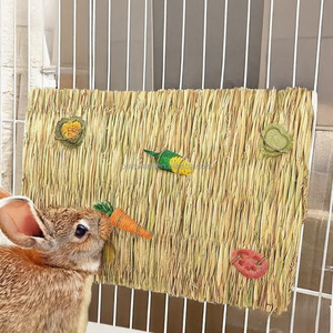 Küçük hayvanlar doğal çim Timothy Timothy Hay Mat & kafes Hay yatak Critter dokuma çim Chew oyuncak Mat küçük hayvan yatak Mat - Product Image 4