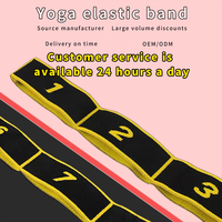 Ensemble de bandes de résistance pour yoga de haute qualité et durables, avec couleur personnalisée, pour l'entraînement de résistance, d'étirement et de renforcement musculaire (50 lb)