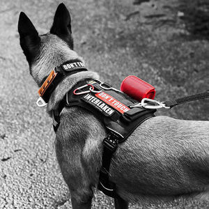 <span class=keywords><strong>Collar</strong></span> Táctico Ajustable para Perro con Hebilla Metálica, Fácil Control, Acolchado Suave y Asa de Tráfico - Product Image 6