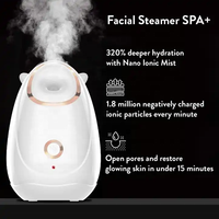 Meilleure vente Machine à vapeur faciale Portable Nano visage humidificateur humidité profonde soins de la peau vapeur