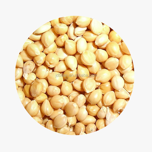 Branco chinês <span class=keywords><strong>Millet</strong></span> Semente <span class=keywords><strong>Bird</strong></span> Feed Atacado Foxtail <span class=keywords><strong>Millet</strong></span> Millets Brooncorn - Product Image 1