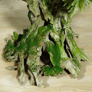 Matériel plastique et racines naturelles avec mousse 80cm Alat Bonsai Pin Macetas Para Bonsai Baratas Bonsaï <span class=keywords><strong>japonais</strong></span> - Product Image 4