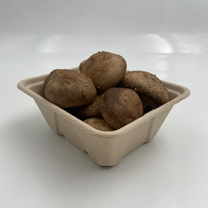 Thân thiện với môi mía giấy Khay siêu thị bã mía Bột rau khay nấm khay - Product Image 6