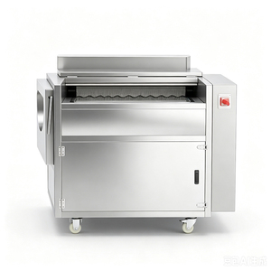 Meilleur <span class=keywords><strong>prix</strong></span> – Équipement automatique de lavage et de pelage de fruits et légumes à grande capacité et alimentation continue pour ligne de production d'aliments surgelés - Product Image 6