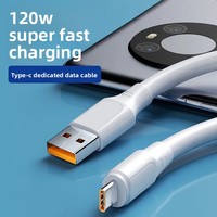 Kabel Data Pengisian Daya Super Cepat 120W PVC Tebal Python 6A untuk Konektor Type-C Micro USB Kabel Pengisian Cepat MOQ Rendah