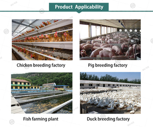 4% Premix Feed Concentrate Supplement for Poultry <b>Small</b> Piglet Milk Food Replacement Powder Appearance After Born - Product Image 3