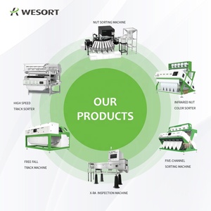 Wesort Factory Price Black Garlic Rice <strong>Soy</strong> <strong>Beans</strong> Nut Processing <strong>Color</strong> Sorter <strong>Machine</strong> for Fruit &amp; Vegetable <strong>Sorting</strong> in Myanmar - Product Image 5