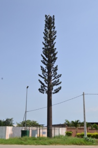 Cây cọ Viễn Thông tháp ngụy trang monopole thép hình ống tháp - Product Image 3