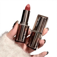 Gloss à lèvres repulpant naturel, rouge à lèvres mat longue tenue et waterproof de luxe pour maquillage de soirée avec service OEM ODM