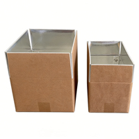 Boîtes isothermes personnalisables en papier kraft écologique avec revêtement en aluminium mat pour aliments surgelés et frais