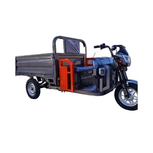 Hot Sale Electric Tricycle Latest Models 600kg Loading Capacity Electric Tricycle Electric Trike