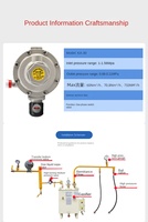 Válvula Reductora de Baja Presión de 6 Puntos con Estructura Angular DN20, Grado Industrial, Cuerpo de Válvula Reforzado, a Prueba de Explosiones