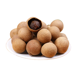 天然ロンガンフルーツエキス粉末10:1-50:1乾燥ロンガンパウダー - Product Image 3