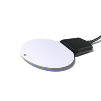 LWS10 monitor kelembaban permukaan daun, monitor kelembaban lingkungan Sensor daun Waktu Nyata/0-2V/4-20mA