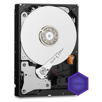 Hard Disk Interno per Videosorveglianza Viola 1TB/2TB/4TB/6TB/8TB/10TB/12TB/16TB 3.5 Pollici 64M Cache SATA III 701-800MB/s Lettura/Scrittura
