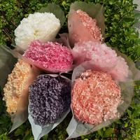 Fleur d'hortensia à grande feuille stabilisée naturelle et préservée en gros pour la décoration de mariage ou de maison