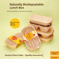 Boîte à lunch biodégradable en pulpe avec couvercle, récipient alimentaire jetable compostable pour la restauration