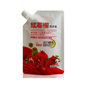 Bolsa para Detergente de Lavandería 500g 1kg 2kg, a Prueba de Fugas, Autoportante, Material PET/PE, Bolsa de Plástico con Base - Product Image 2