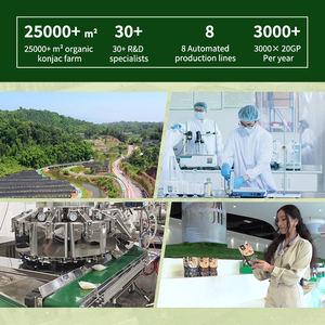 Mie Konjac Kering <span class=keywords><strong>Vegan</strong></span> Rasa Oat Rendah Karbohidrat Bebas Gluten Bebas Gula Alternatif <span class=keywords><strong>Pasta</strong></span> Tinggi Serat untuk Makanan Keto dalam Kotak - Product Image 6