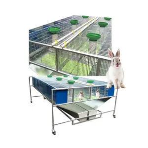 Cage d'intérieur pour lapin portable, pratique, nettoyage des excréments et de urines, taux de survie élevé, pratique et nettoyer
