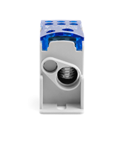 Barre omnibus sur rail DIN 80A 125A 160A 250A 400A, borniers de distribution d'alimentation à vis, accessoires de blocs de distribution haute intensité