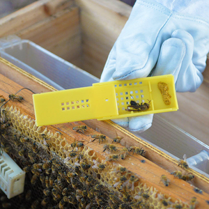 Kit de apicultura para colmena, 12 Uds., marco de herramientas, agarre, cepillo de abeja, jaula de Reina, guantes para ahumador de abejas, bolsa de lona, tenedor de miel - Product Image 3